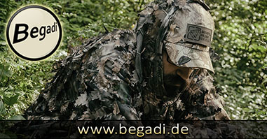 Begadi
